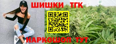 молекула духа Донской