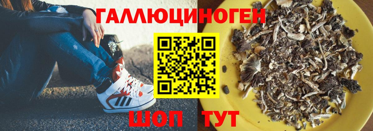 Галлюциногенные грибы Psilocybine cubensis  Вход с VPN  Майский 