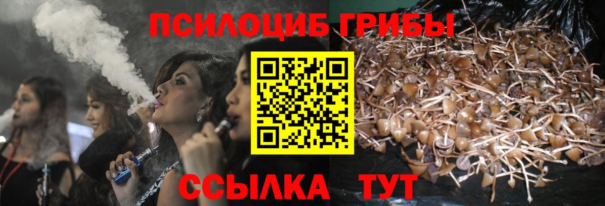 Галлюциногенные грибы ЛСД Майский