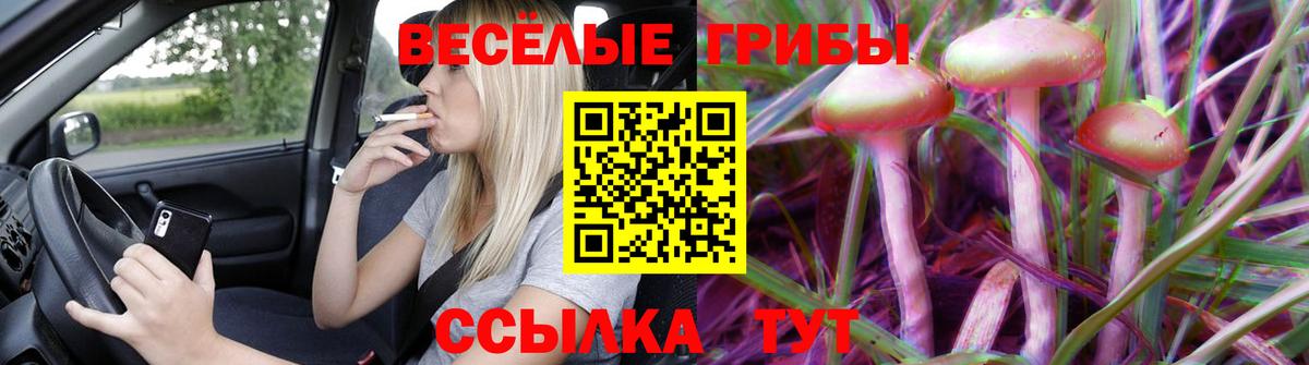 Псилоцибиновые грибы Psilocybine cubensis  купить наркотики сайты  Майский 